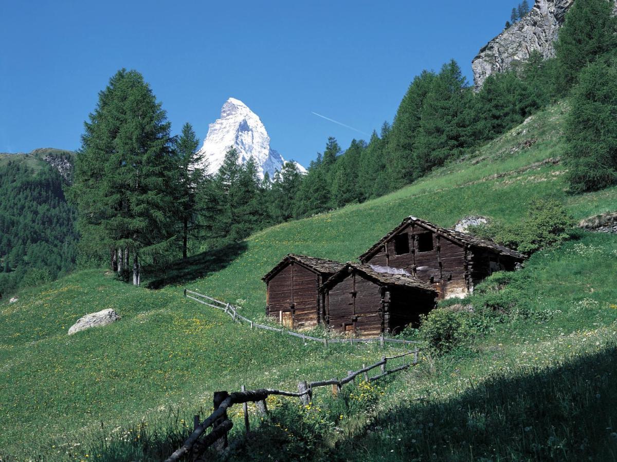 Apartment Alba By Interhome Zermatt Extérieur photo